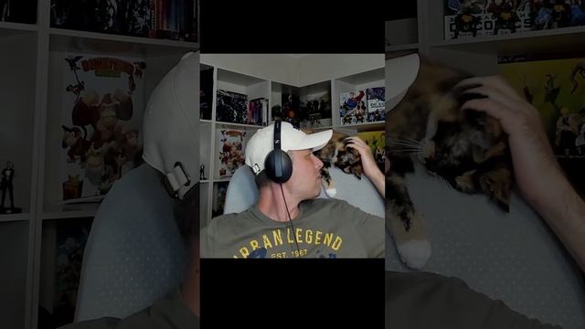 Смешные нарезки с Ёш Серёжем часть 26 / Еш Сереж и кот #shorts #ешсереж #ежсереж #котоблогер смотреть онлайн