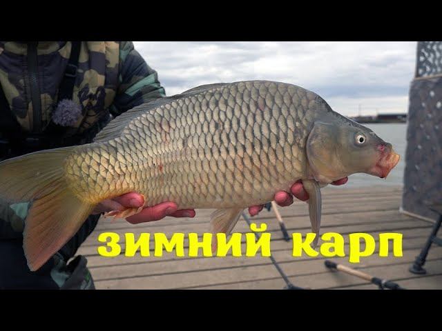 ЛЁД РАСТАЯЛ, КАРП ПОПЁР, ЗИМНЯЯ РЫБАЛКА смотреть онлайн