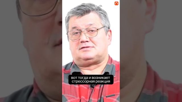 Зачем людям стресс? — Дмитрий Жуков смотреть онлайн