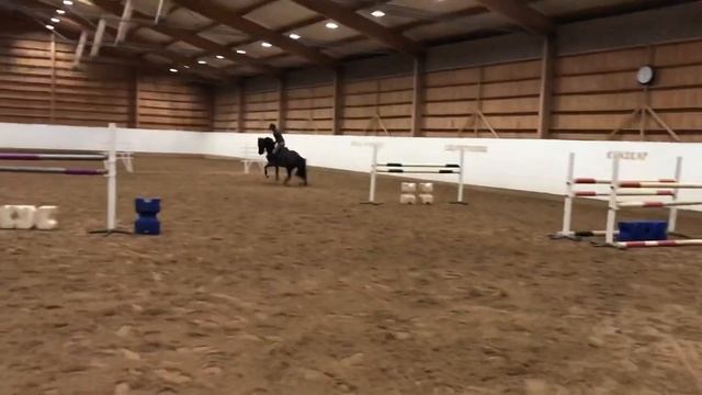6yo Camaro M x Callahan VDL смотреть онлайн