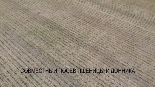 Аэросъемка полей главы КФХ Васильцова Владимира Алексеевича 2020 год. смотреть онлайн