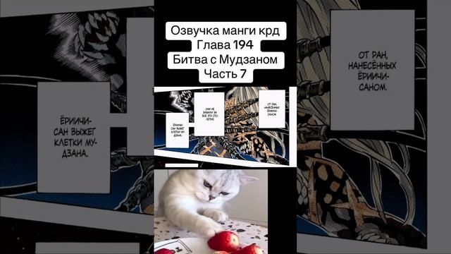 #anime #memes #mitsurikanjori #cat #mitsurikanroji #jjba #demonslayermitsuri #muzan #tanjiro #akaza смотреть онлайн