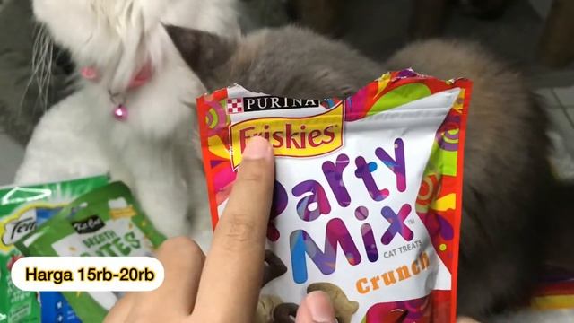 ✨Rekomendasi Snack/Cemilan Kucing✨ смотреть онлайн