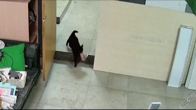 похищение сосисок смотреть онлайн