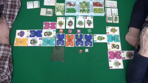 512 Зелёный дом I Играем в настольную игру. Verdant board game.
