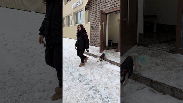Отправляемся на поиски доноров смотреть онлайн