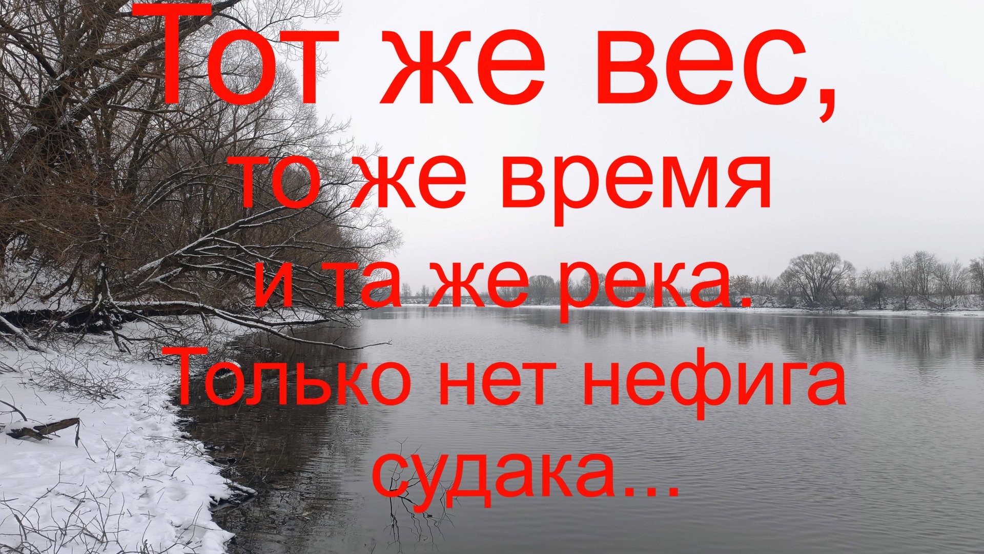 Тот же вес ,то же время и та же река ,только нет нифига судака. Москварека. Марково. 09 12 2024