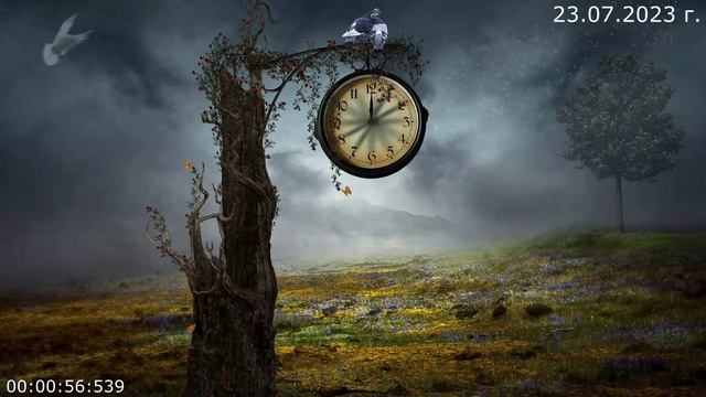 748 Машина времени 23.07.2023 г. смотреть онлайн