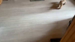 Старый дом / Каким был дом раньше / Утепляемся 23 июля 2021 г.