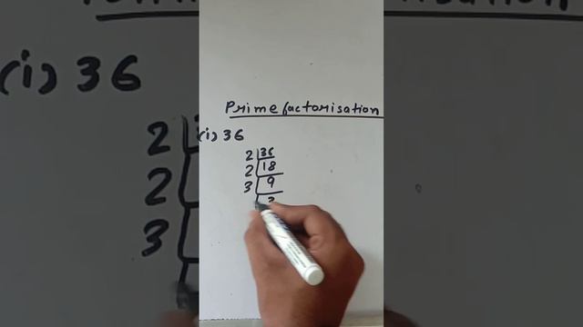 prime factor of 36 #maths #subscribe смотреть онлайн