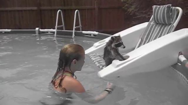 Bandit in the Pool смотреть онлайн