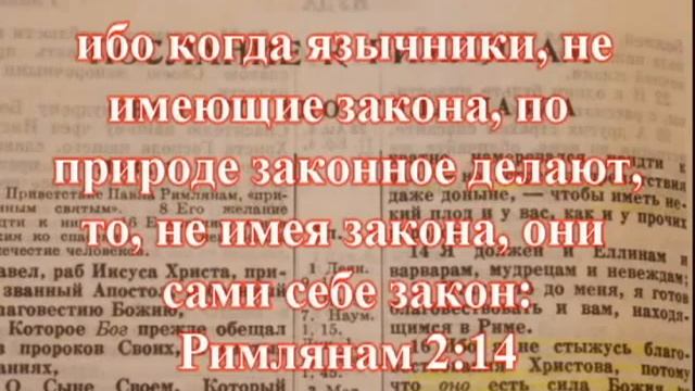 Разбор послания к Римлянам - урок №6 смотреть онлайн