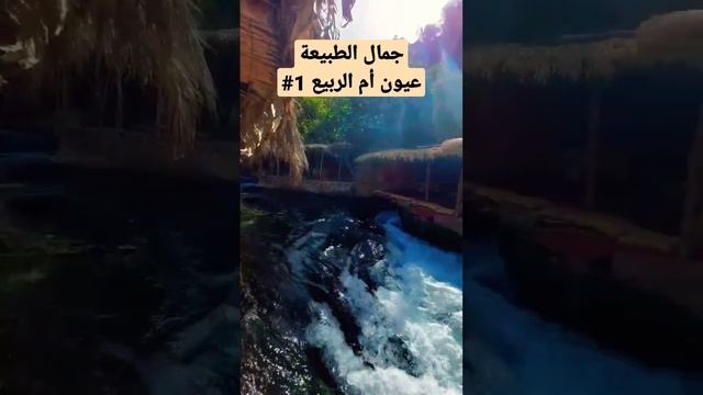 تمتع بجمال الطبيعة في عيون أم الربيع 1# смотреть онлайн