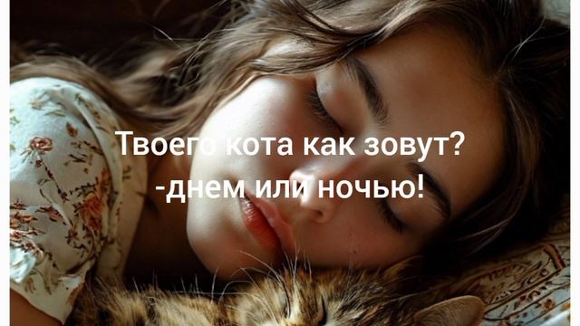 у кота два имени