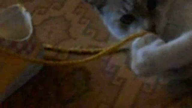 Марфа и новые кеды! смотреть онлайн