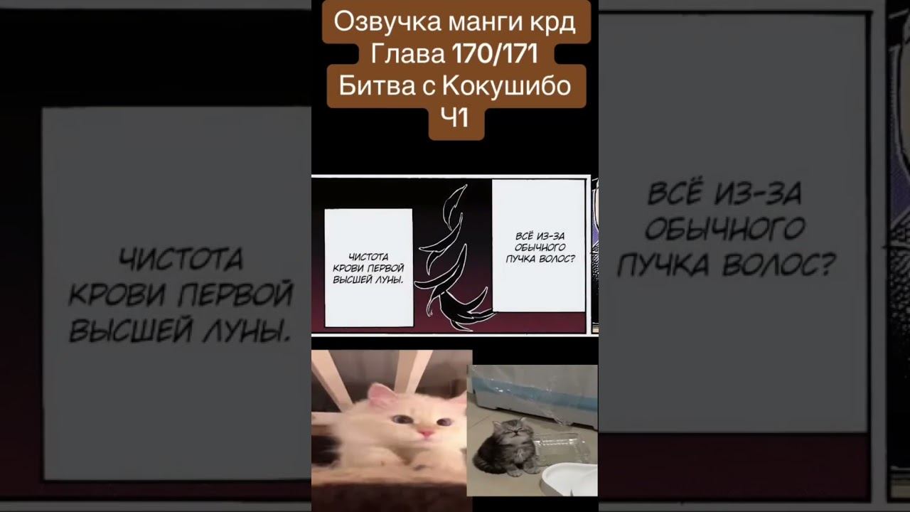 #anime #kimetsunoyaibaepicmoments #demonslayer #клинок #kimetsunoyaiba #kimetsunoyiaba #edit #крд смотреть онлайн