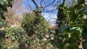 Дом до 20 млн руб на ЮБК в Крыму апрель 2024 года | купить дом в КРЫМУ с Ярославом Фроловым