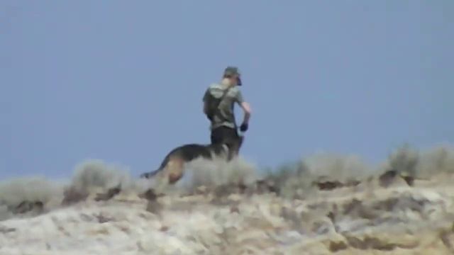 Мальчишки и овчарка на краю каньона Мальчишки и овчарка на краю каньона 峡谷边缘的男孩和牧羊犬 峡谷の端にいる男の子と牧羊犬 смотреть онлайн