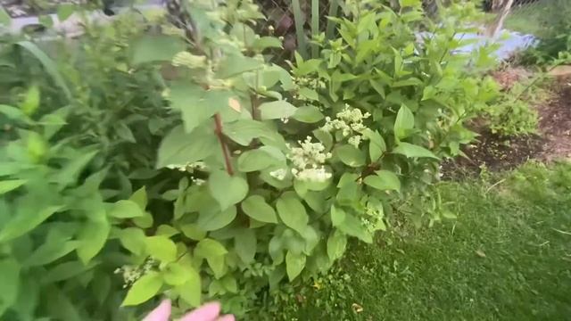 Сырная тарелка с мёдом / Достала жара 7 июля 2024 г. смотреть онлайн