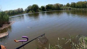 БЕШЕНЫЙ КЛЁВ ЛЕЩА И КАРАСЯ, РЫБАЛКА НА ФИДЕР