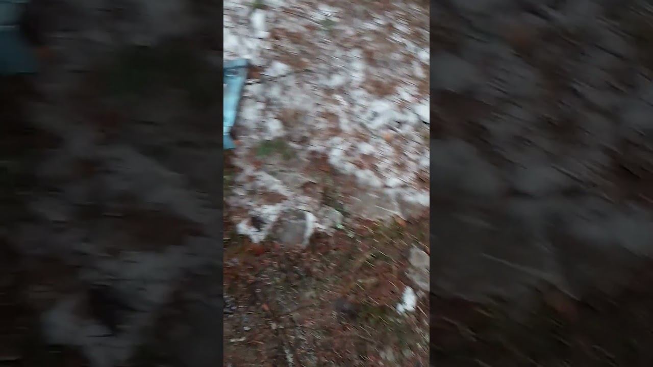 Минитрактор сохраняет лесную подстилку #природа #техника #деревня смотреть онлайн