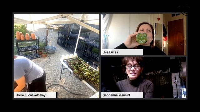 Ep. 255 Gardening 101 - tomatoes and herbs with Hollie смотреть онлайн