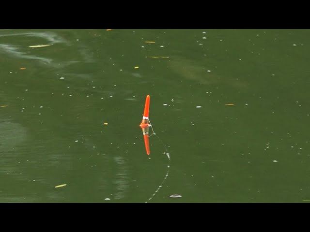 КАРАСЬ НА ПОПЛАВОЧНУЮ УДОЧКУ, РЫБАЛКА НА ДИКОМ ВОДОЁМЕ В ДОЖЬ смотреть онлайн