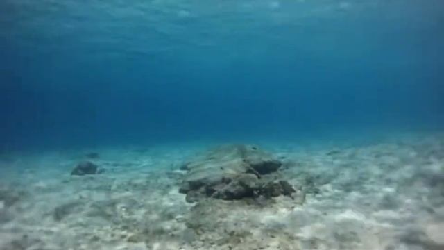 Scuba Weight Check In front of the Fiesta Americana Resort Cozumel смотреть онлайн