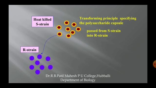 Molecular Basis of Inheritance by PK lecture 4 смотреть онлайн
