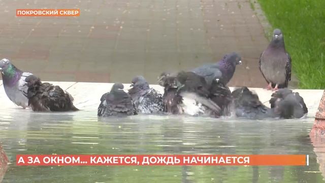 А за окном. 17 мая 2021 смотреть онлайн