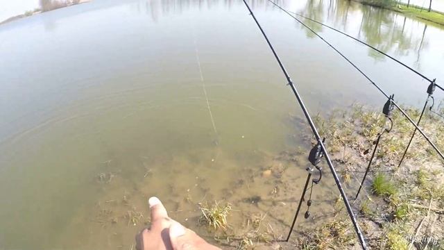 Рыбалка на ФЛЭТ МЕТОД ФИДЕР - Flat Method Feeder Fishing смотреть онлайн