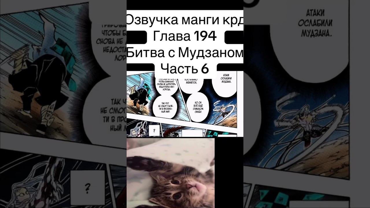 #anime #memes #mitsurikanjori #cat #mitsurikanroji #jjba #demonslayermitsuri #muzan #tanjiro #akaza смотреть онлайн