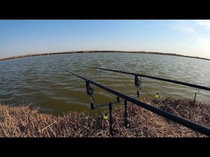 КАРЬЕР С РАКУШКОЙ, 24 ЧАСА РЫБАЛКА НА КАРПА