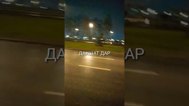 #дахшат дар чангал смотреть онлайн