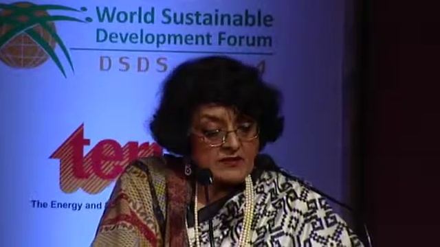 DSDS14: Prof VeenaSikri, South Asia Women's Network (SWAN) & South Asia Foundation (SAF-India) смотреть онлайн
