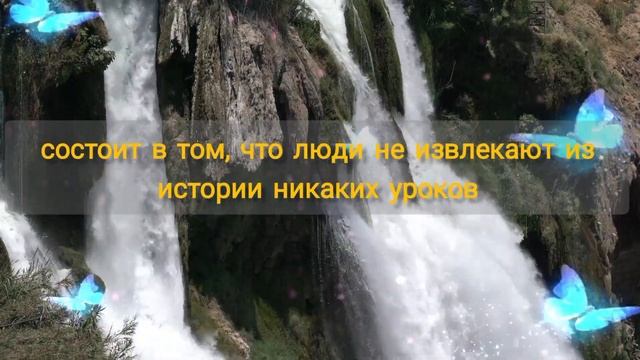 Цитаты о жизни и не только. смотреть онлайн