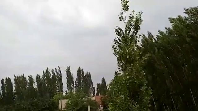 ШАШЫЛЫШ Эскертүү!! ШАМАЛ СЕК 20....25 М/С смотреть онлайн