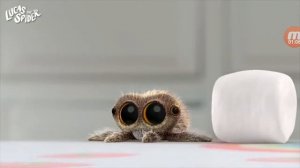 паучок Лукас новые серии