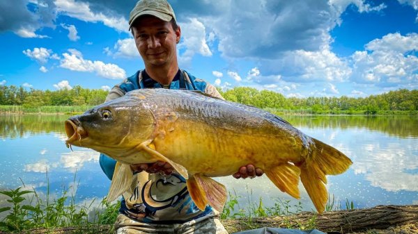 Вечерний стрим Юг Fishing