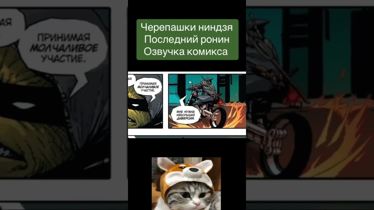 #tmnt #lastronin #черепашкининдзя2003 #черепашкининдзялегенды смотреть онлайн