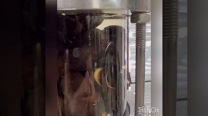 Орехи Макадамия на Сокслете, бомбический результат!!!