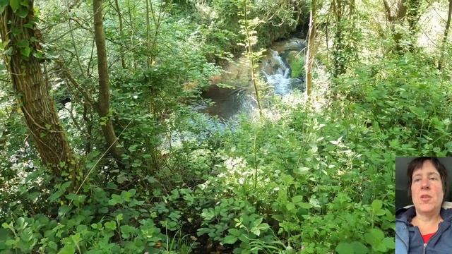 Пешеходный туризм и жизнь в моей машине во Франции параллельно Пути Святого Якова - Часть 5 смотреть онлайн