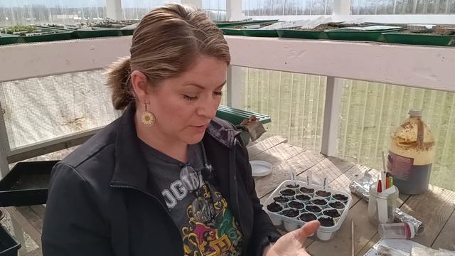 Beginner Budget Seed Starting Supplies: Trays and Soil Blocking смотреть онлайн