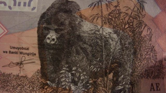 Коллекция банкнот Африки  часть1    Banknotes Of African Countries Part1