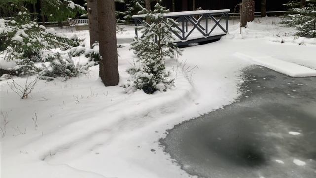 Пруд текущее 10.12 смотреть онлайн