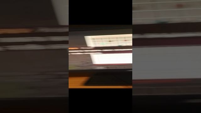 Я открыл кейс Тумки