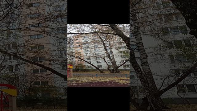 Обзор двора. Москва, 4-я Новокузьминская ул., 8к2 смотреть онлайн