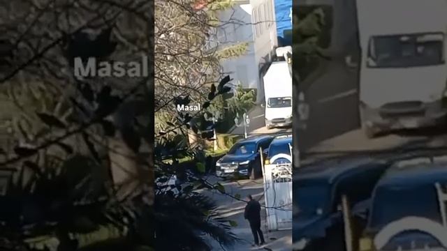 Съемки в особняке 🎬  #зимородок