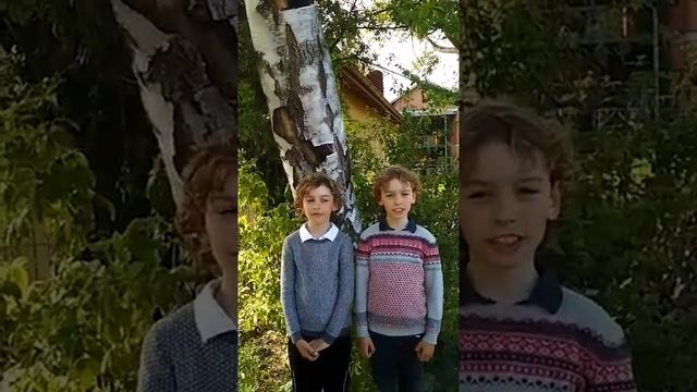 Пивоварчик Андрей и Николай. Стихотворение С.А. Есенина "Гой ты, Русь, моя родная" смотреть онлайн