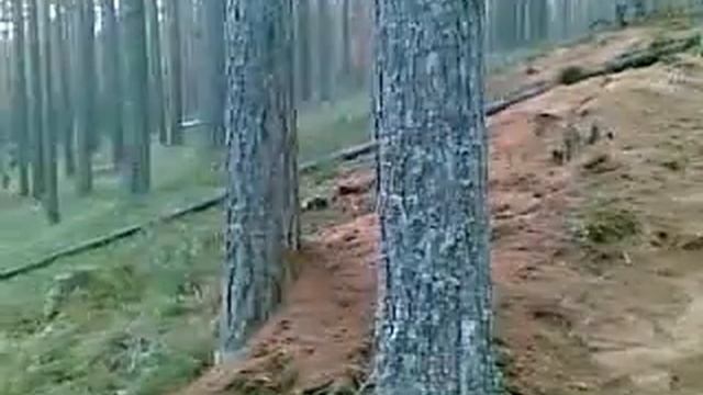 Продолжение эпопеи смотреть онлайн